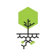 Angle Tree